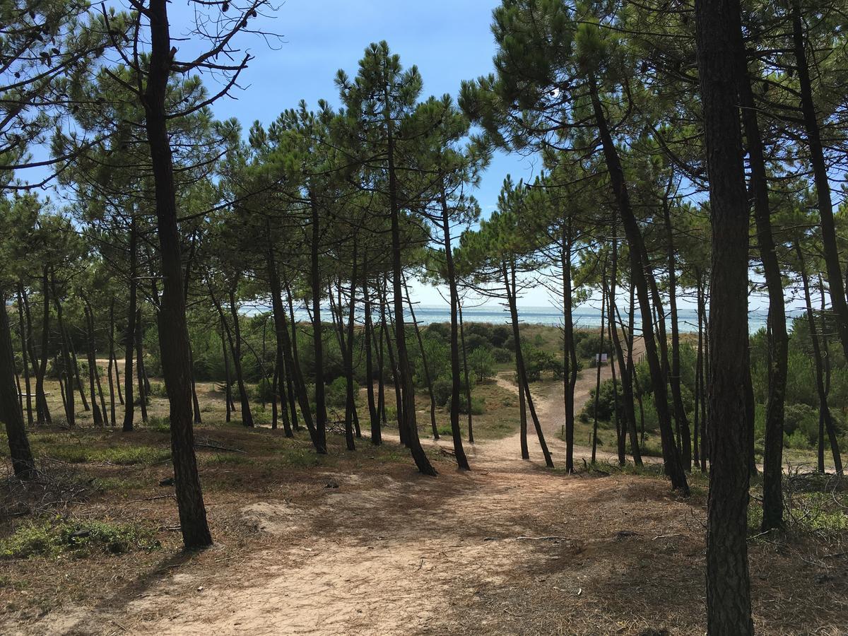 The Corner Properties Noirmoutier-en-l'Ile Dış mekan fotoğraf